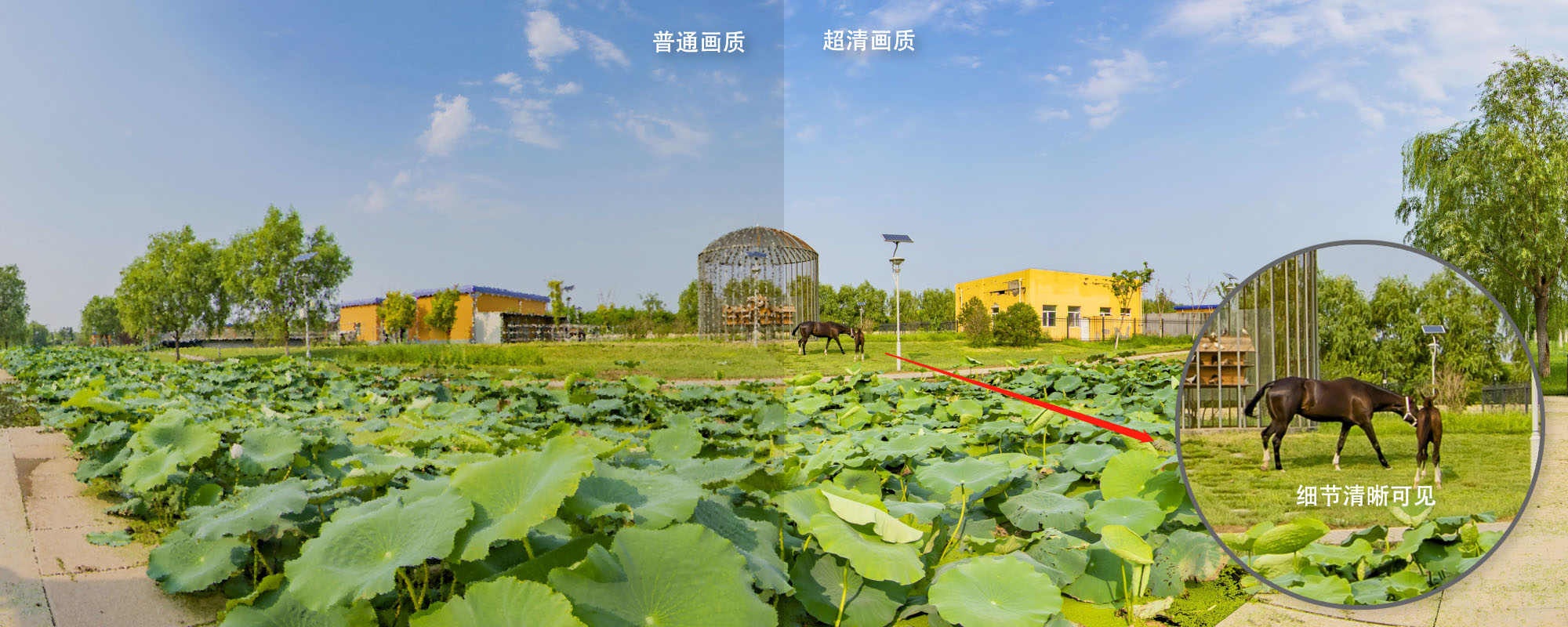 专业拍摄团队与设备展示